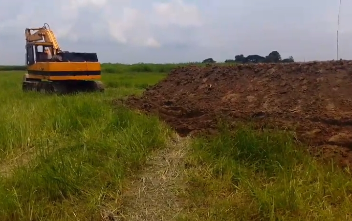 মুন্সীগঞ্জের সোলারচরে ফসলি জমি কেটে রাস্তা নির্মাণের অভিযোগ, ক্ষোভে কৃষকরা